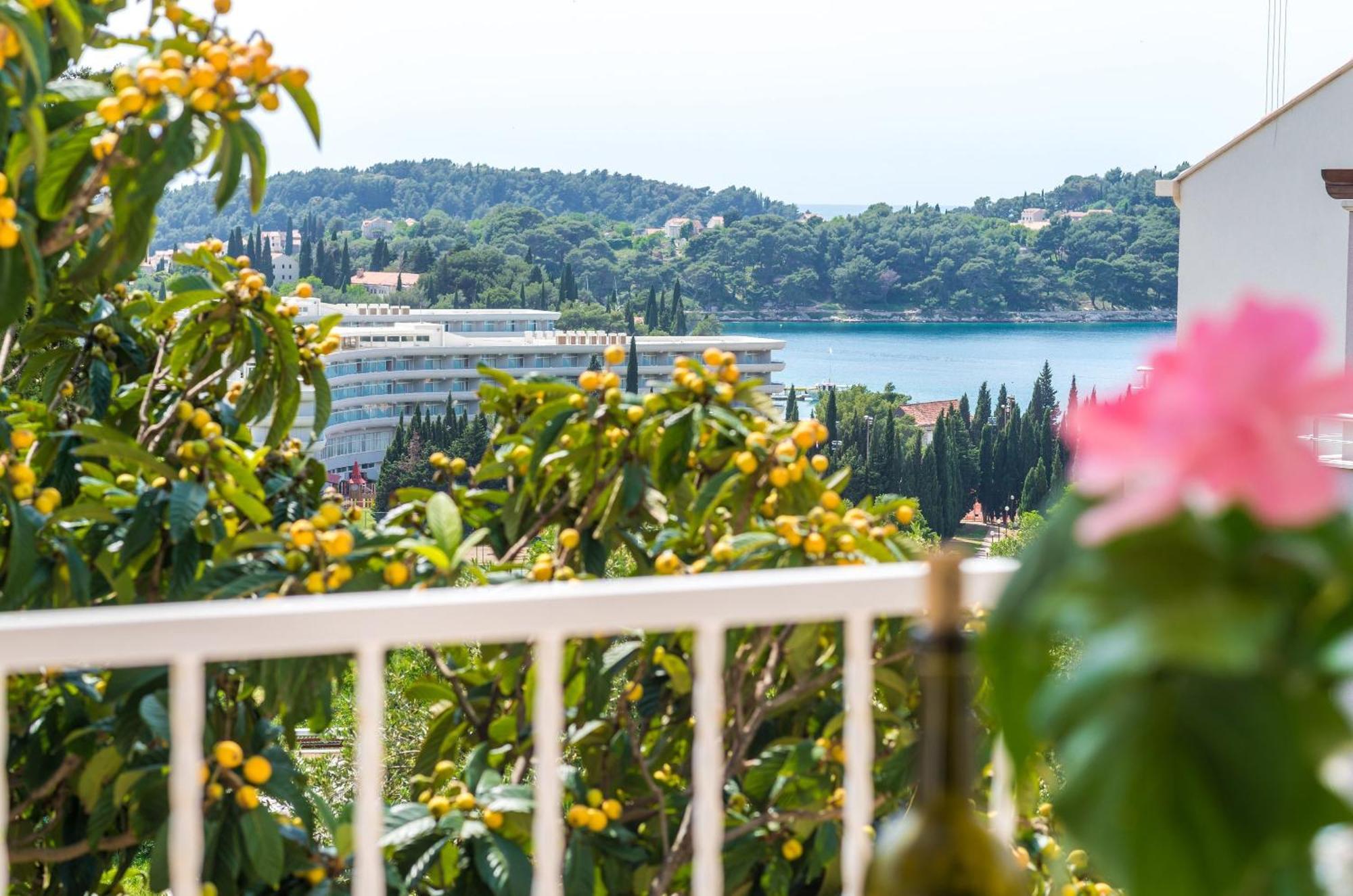 Villa Bind Cavtat Rum bild